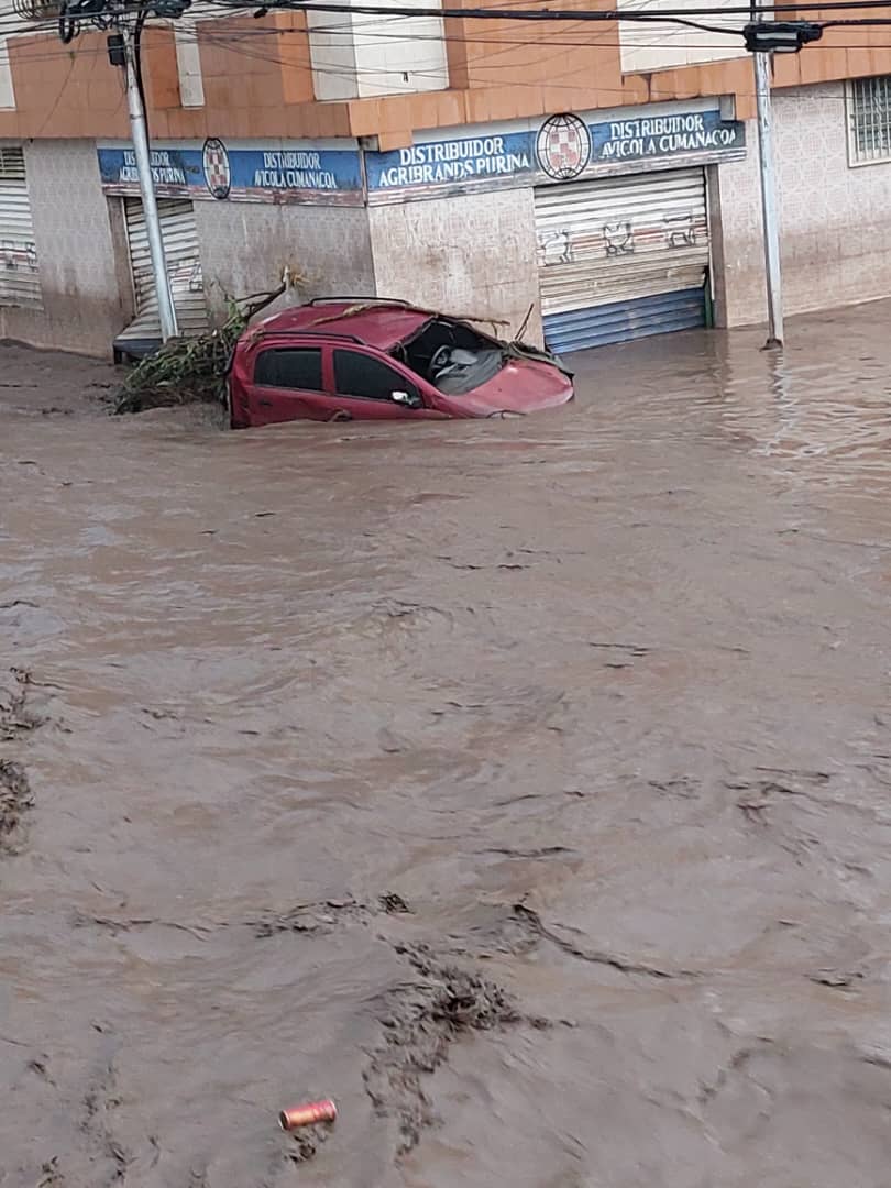 CuatroVertices's tweet photo. #ÚLTIMAHORA • Se registran inundaciones en la parroquia Cumanacoa y el Centro Histórico de Cumanacoa, por lo cual se han desplegado funcionarios del Sistema de Gestión y Control de Riesgos; PC, Cuerpo de Bomberos, Ven911, Inaservip, y Barrio Nuevo Barrio Tricolor. #4Vértices https://t.co/M1zWBaqwIa