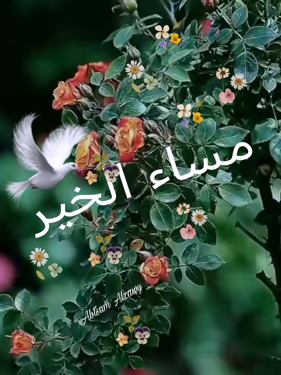 ابتسام العزاوي. tweet media