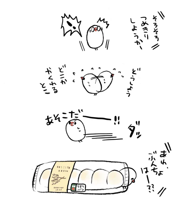 ちぎりパンと化したぶんちょ 