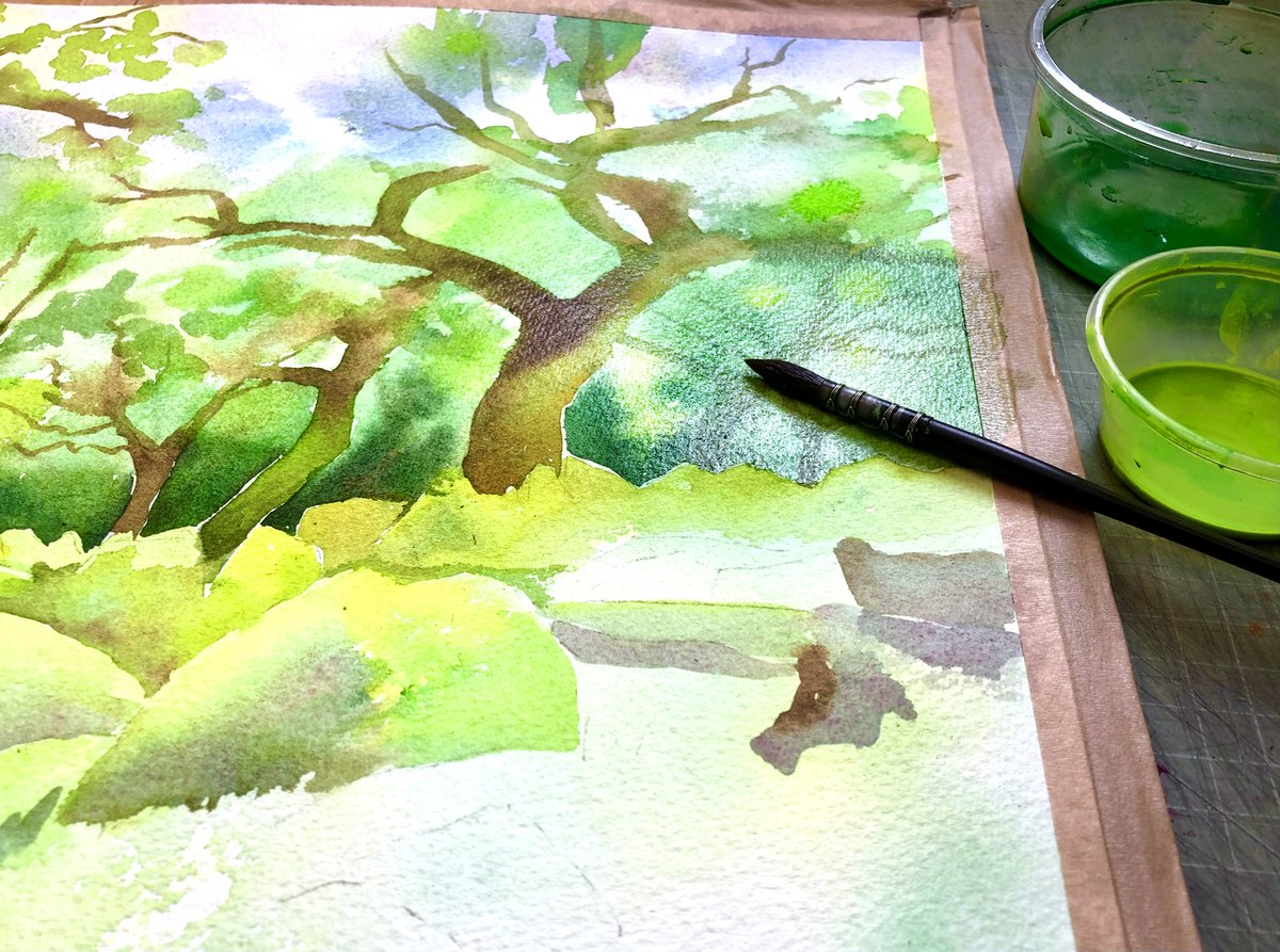 JaneSunflower's tweet photo. I'm #painting #WistmansWood, #Dartmoor again, in #watercolour. It's an ancient #temperaterainforest so I'm following Mother Nature & throwing lots of water at it. #workinprogress
#lostrainforestsofbritain #paintingrainforest #ancientwoodland #ancientoakforest #ancientoaks #Devon https://t.co/dEGrKaWs6f