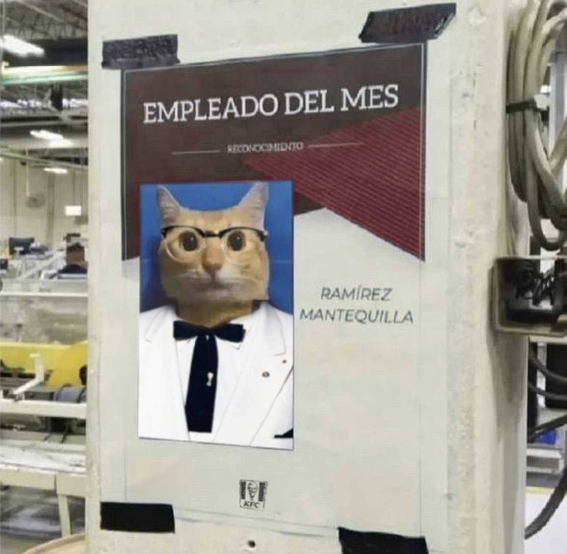 KFC_ES's tweet photo. es un orgullo muy grande para esta empresa anunciaros el empleado del mes😊 https://t.co/imy7U7KtuV