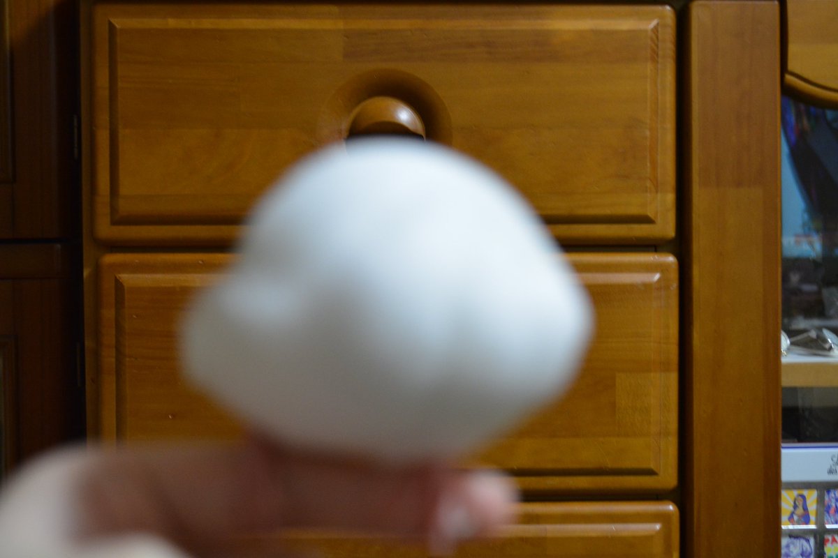 ときと飼い主の部屋 (@shirobun_) on Twitter photo 