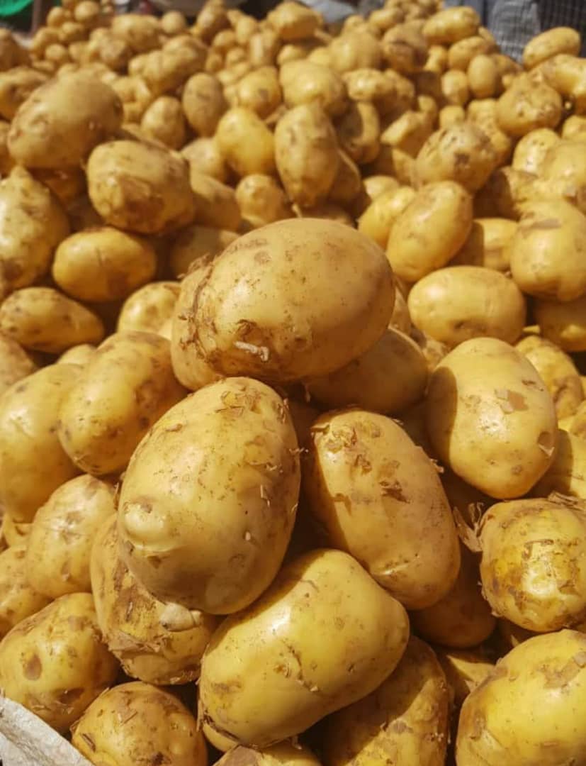 Faarmrich's tweet photo. Let's talk selected Irish potatoes.

Come closer, I have a sweet deal for you 😊

Bag of Irish potatoes N60k, half bag N30k (+ delivery fee) to:
LAGOS and PH,

Bag N55k, half bag N28k (+ delivery fee) to:
ABUJA

This offer ends this Saturday, 6th July.
.
.
. https://t.co/bX2htMmw2w