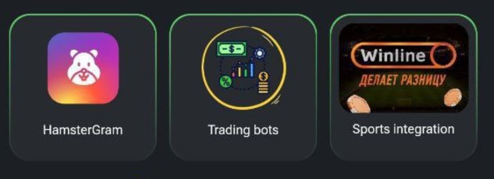 Hey CEOs! Tuesday Combo Cards are here! 📢🐹📈

#HamsterKombat 
#hamsterkombatcombo