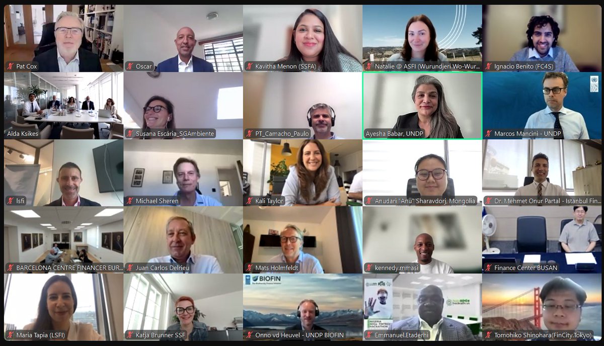 Checking-in halfway through 2024 - our #FC4S Mid-Year Progress Meeting is in full swing! 🌍🌱 New co-chairs, new members, and engaging discussions on accelerating #SustainableFinance across our global network. #HappeningNow