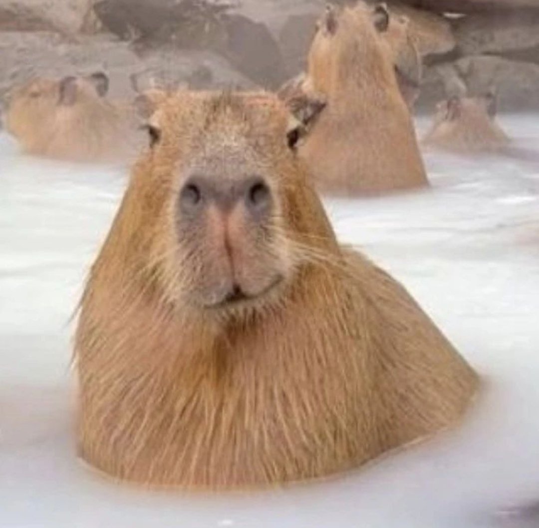 My last cereal in my milk be like :