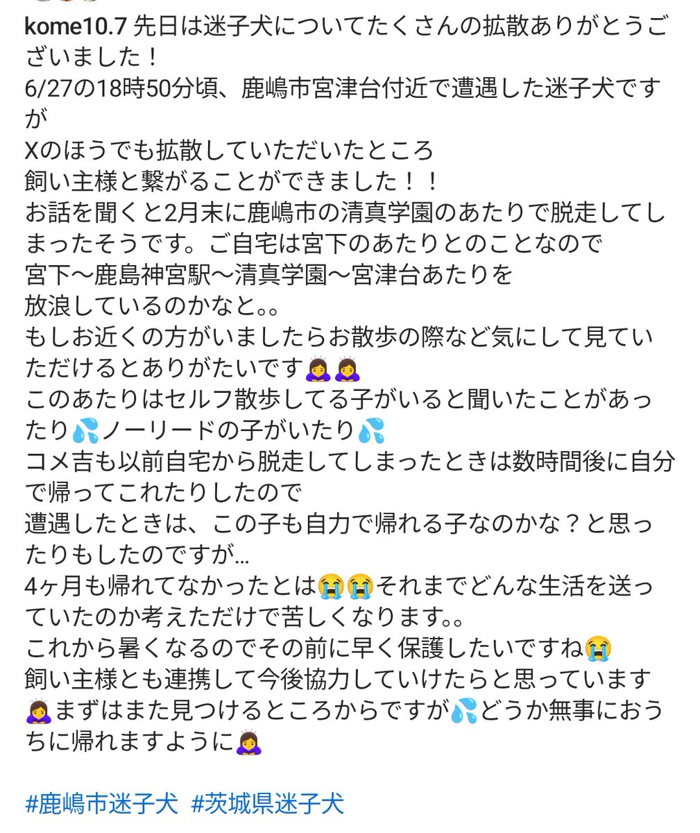 インスタのほうに詳細あげているので
こちらにも共有します🙏遭遇した日と昨日の投稿です。
今日も長めにお散歩しましたが遭遇できず…
やみくもに探しても難しいのでなにか作戦をたてないといけないですね。まずは目撃情報が一番大事なので拡散をよろしくお願いいたします！
#鹿嶋市迷子犬 #迷子犬
