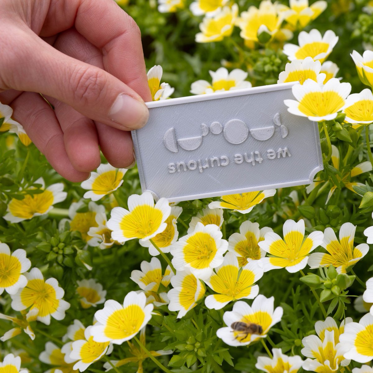 The market is back this Saturday!⁠ 10am - 3pm⁠ ⁠ 

Join us for a day with incredible traders, mouthwatering street food, live music, and much more! Plus, we're hiding another Curiositicket!

Find the Curiositicket in our market gardens, the perfect Saturday picnic spot.