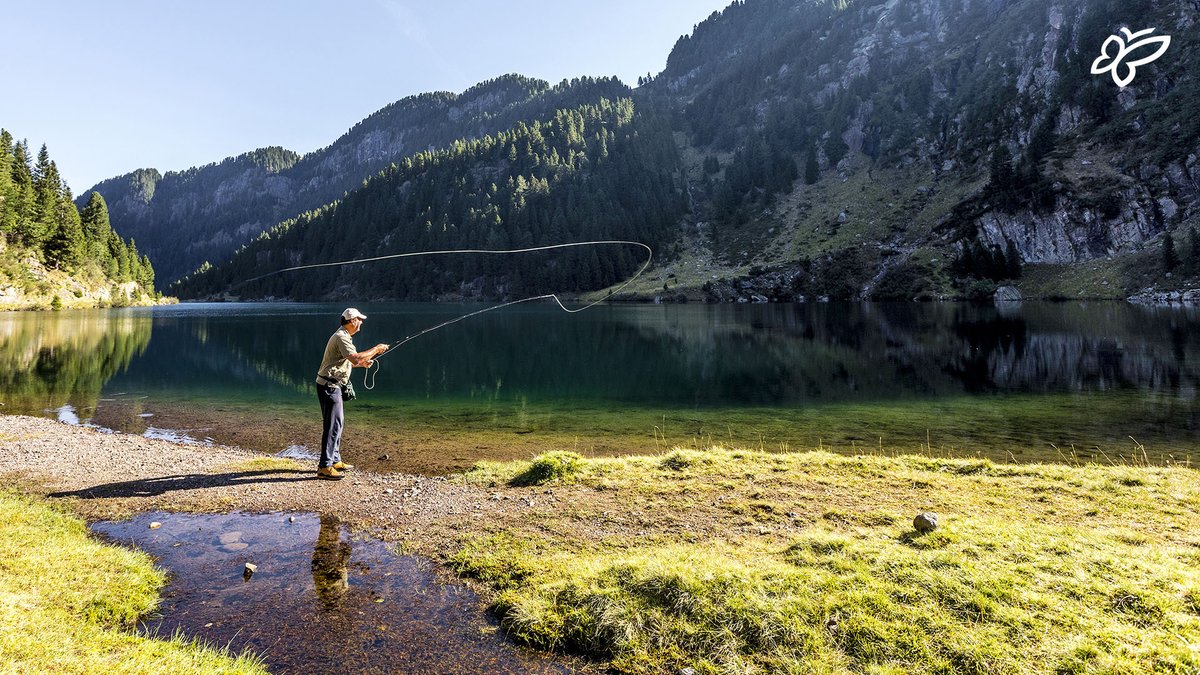There are hundreds of lakes and thousands of kilometers of watercourses in Trentino, but what are the best catch and release fishing spots?🎣Discover them here ➡️tinyurl.com/FishingBestSpo…

[📷 R. Bragotto]
#visittrentino #trentinowow #summerintrentino