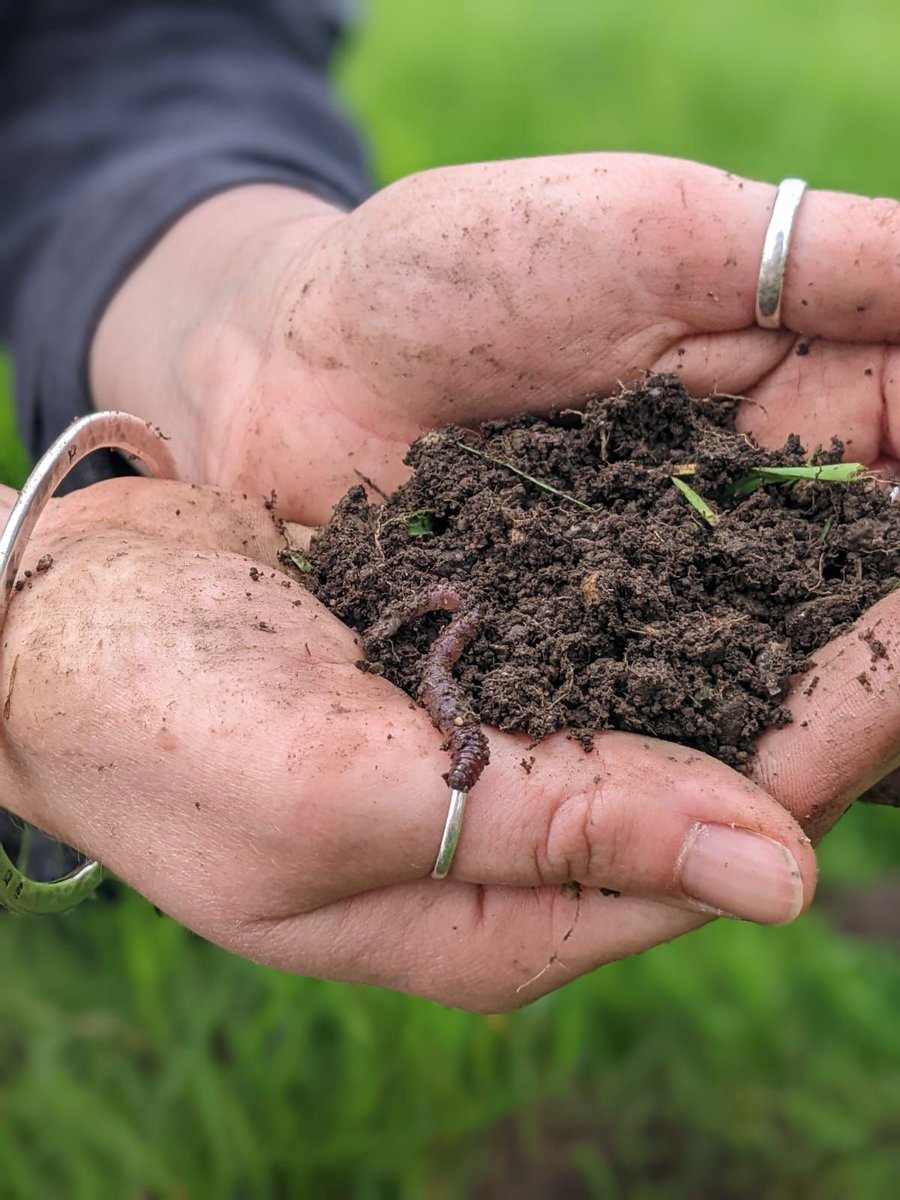DevonWildlife's tweet photo. DWT's #UpstreamThinking team recently visited @DartmoorShep, using a 'soil dibber' to look at the contents and structure of the soil. Samples will show how #RegenerativeFarming techniques might improve soil health, increase biodiversity and lock up more carbon!

@SouthWestWater https://t.co/awJreVBMwO