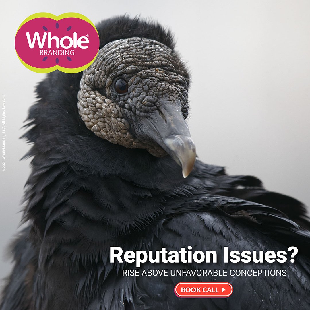 Vultures may have a bad rep, but they play a crucial role in the ecosystem.

Service Benefits:
1. Reinforce Credibility
2. Attract Talented Employees
3. Build Trust
4. Client Retention
5. Boost Sales
6. Increase Visibility

Book Your Discovery Call
booknow.wholebranding.com/#/discoverycall