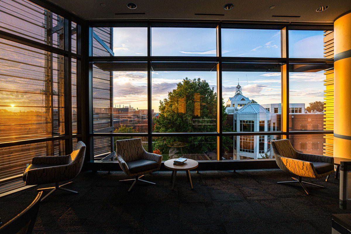 GeorgeMasonU's tweet photo. A window into #MasonNation 💚💛

#AllTogetherDifferent

📷: OUB https://t.co/qyQ6uyOc7n