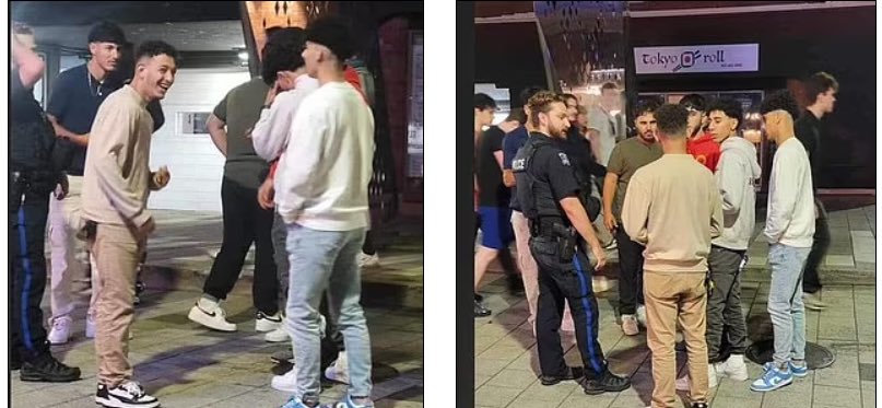 End Wokeness tweet media