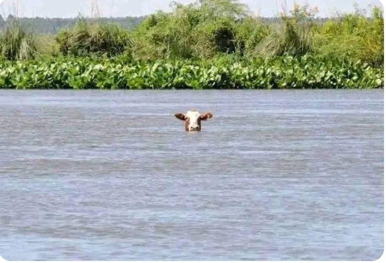 🧢MUSTON™ tweet media