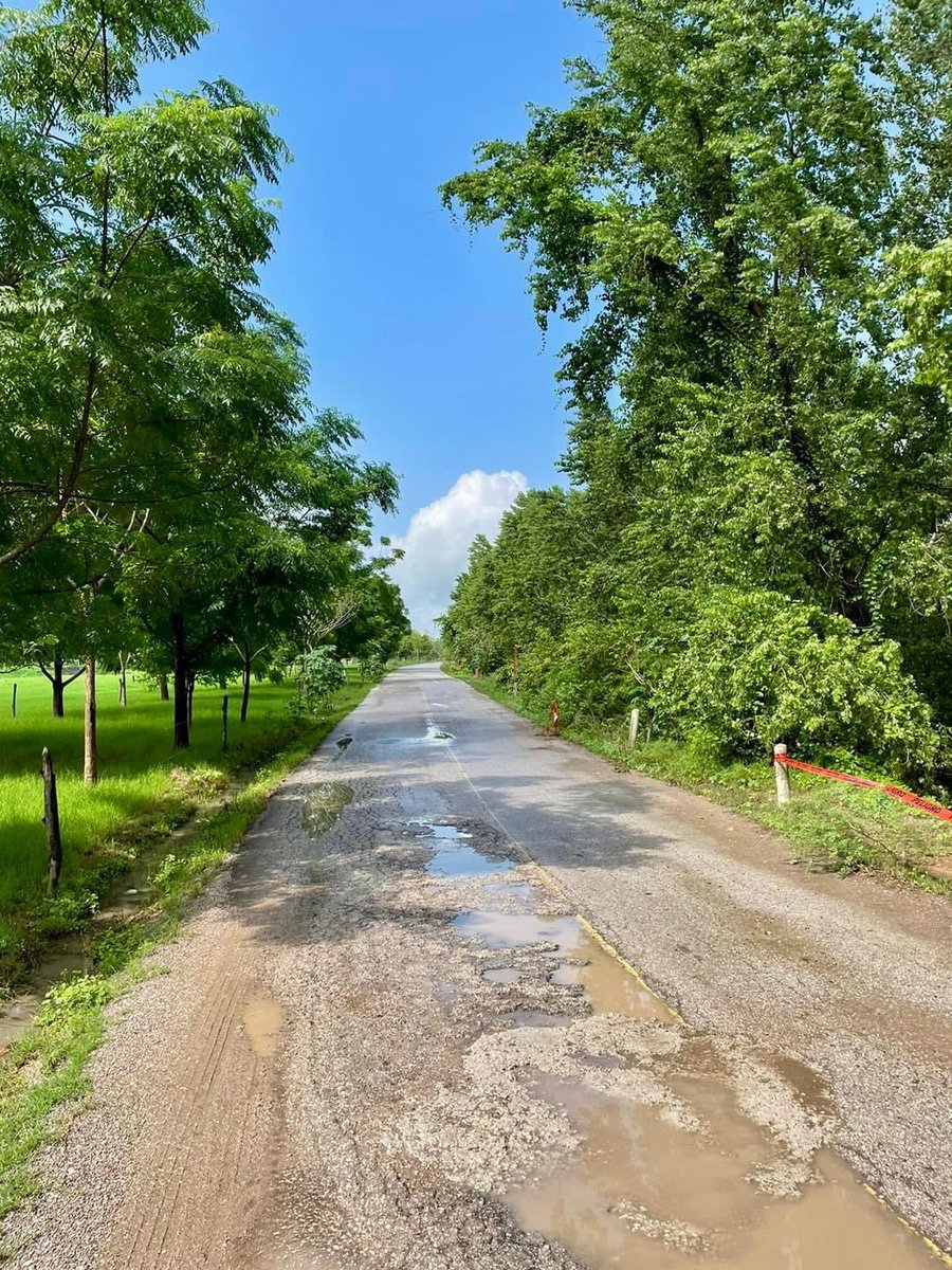 OmarNNoticias's tweet photo. ⚠️EN RIESGO CAMINO A TAMTOC🛑
EL RÍO COMIENZA A DESGAJAR CAMINO LO QUE PUEDE DEJAR INCOMUNICADO EL SITIO ARQUEOLÓGICO
🚧Hace un momento Protección Civil activa alerta y monitoreo constante sobre el camino de acceso al sitio arqueológico de #Tamtoc, debido al incremento en el nivel del rio #Tampaón, lo que ha comenzado a generar el reblandecimiento en las orillas causando desgajamientos sobre el camino.
🛣️Esta situación activa los protocolos de #seguridad ante inundaciones, por lo que en caso de continuar los daños sobre el camino se tendrá que suspender el tránsito en general.