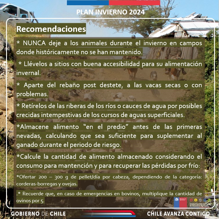 AgroClimaticoCL's tweet photo. 🥶😓❄️En estos días de temperaturas extremadamente bajas en #Magallanes y #Aysén, compartimos con ganaderos de la zona estas recomendaciones. @MinagriCL @Sub_Agricultura @MinagriAysen @MinagriMagallan https://t.co/6fyyP9UBl3