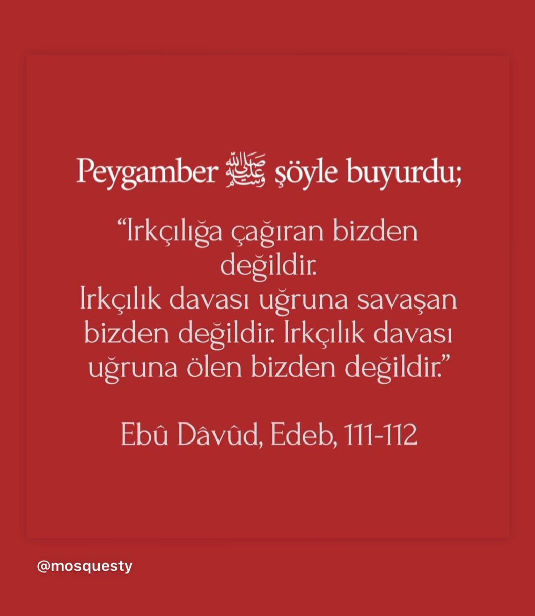mosquesty's tweet photo. Oluklar çift. https://t.co/FyS4VFVePO