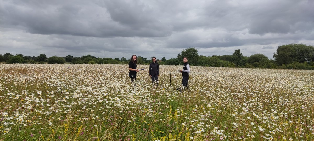 YWT_North's tweet photo. A great day with the team surveying the meadow at Staveley nature reserve near Boroughbridge. Hard to imagine now that this was an arable field a decade ago! Great to see White-clawed Crayfish in the River Tutt on the northern boundary too, caught under license from NE. https://t.co/iyKCnztWVL