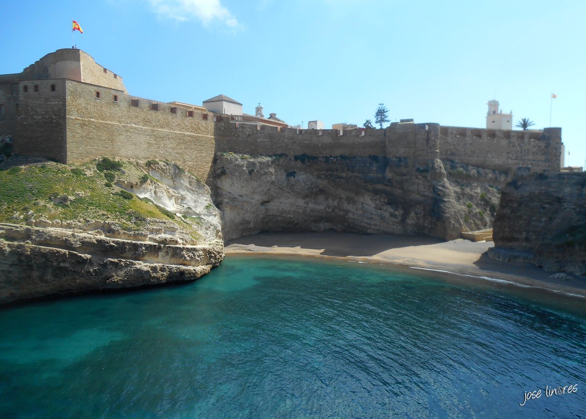 Jose Linares tweet media