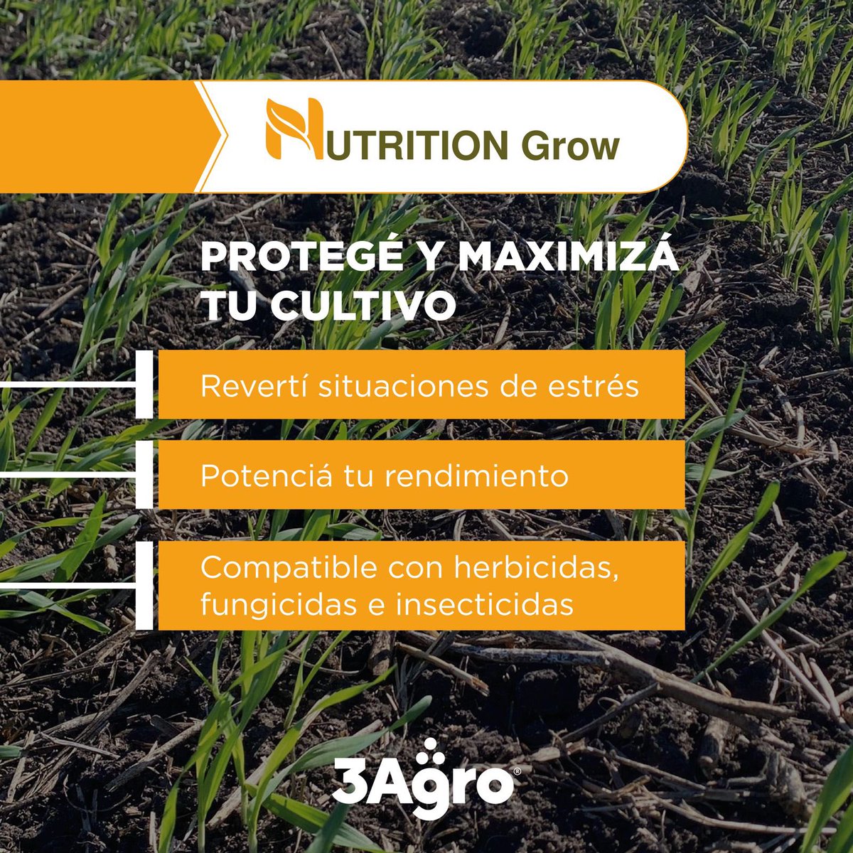 🌱𝗣𝗿𝗼𝘁𝗲𝗴é 𝘆 𝗺𝗮𝘅𝗶𝗺𝗶𝘇á 𝘁𝘂𝘀 𝗰𝘂𝗹𝘁𝗶𝘃𝗼𝘀 𝗰𝗼𝗻 𝗡𝗨𝗧𝗥𝗜𝗧𝗜𝗢𝗡 𝗚𝗿𝗼𝘄

Bioestimulante mejor balanceado del mercado🔥
(👇)