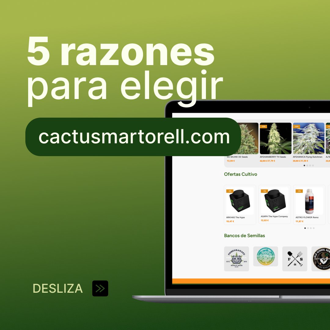 Cactusgrowshop's tweet photo. 🌵 5 Razones para Elegir https://t.co/11oXiCpgDG 🌵

¿Estás listo para unirte a la familia CactusMartorell? 🌵

💚 #Growshop #CactusMartorell #CultivoConEstilo #AtenciónTop #EnvíoRápido https://t.co/yVnwjL7vJm