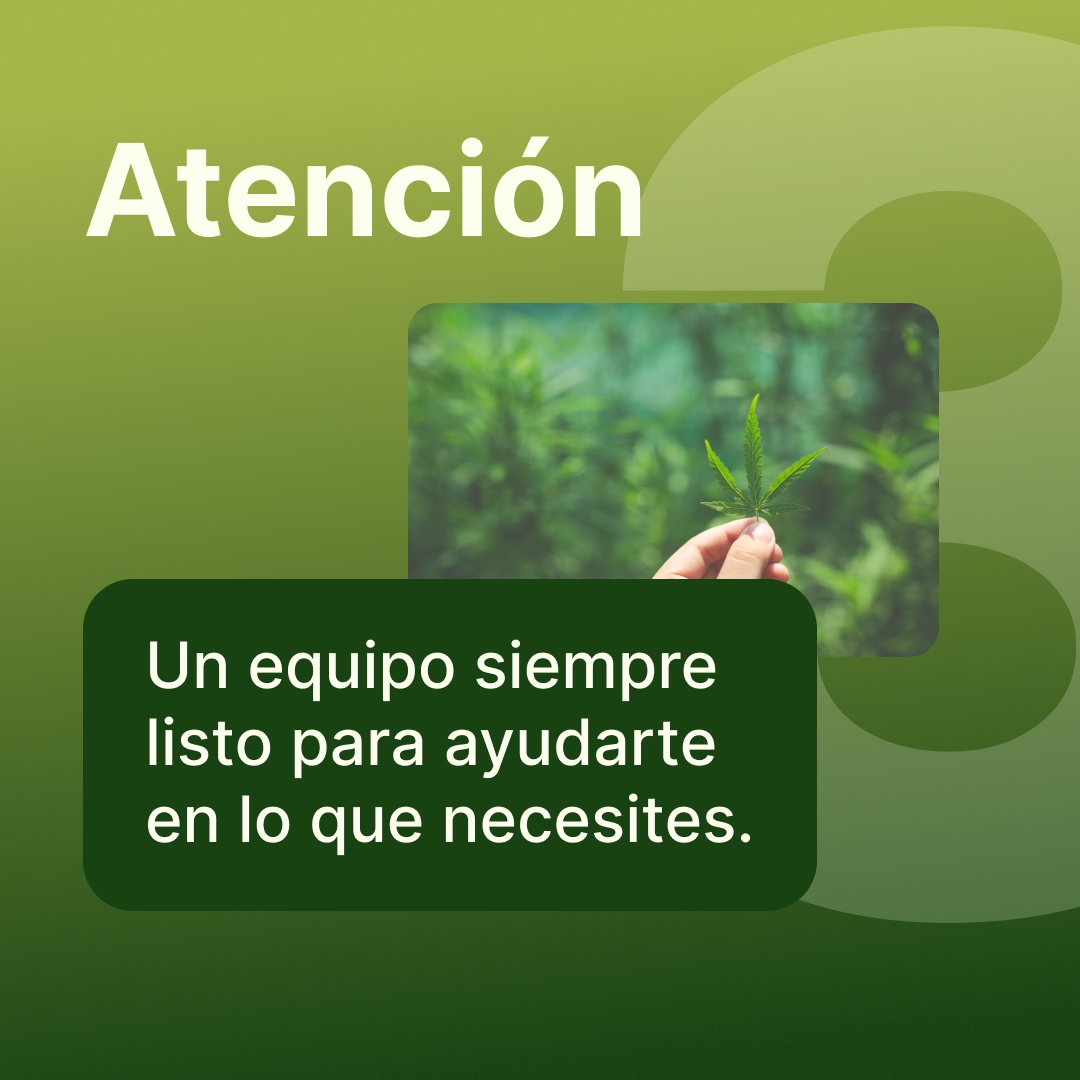 Cactusgrowshop's tweet photo. 🌵 5 Razones para Elegir https://t.co/11oXiCpgDG 🌵

¿Estás listo para unirte a la familia CactusMartorell? 🌵

💚 #Growshop #CactusMartorell #CultivoConEstilo #AtenciónTop #EnvíoRápido https://t.co/yVnwjL7vJm