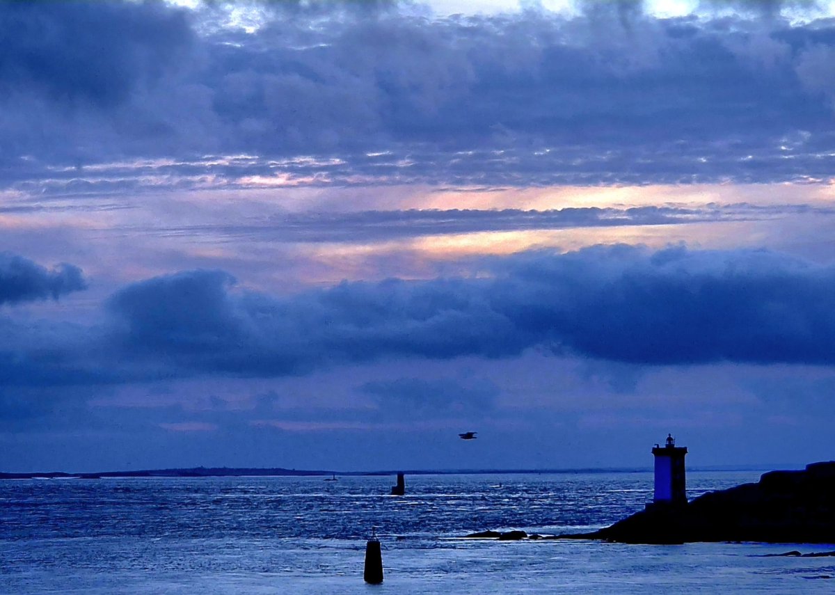 ariel STRABONI tweet media