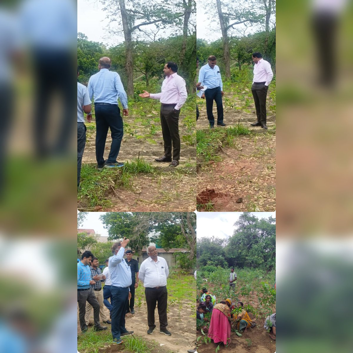 AmdavadAMC's tweet image. અમદાવાદ મ્યુનિસિપલ કોર્પોરેશનના મિશન થ્રી મિલિયન ટ્રીઝ અભિયાન હેઠળ ધારાસભ્ય શ્રી અમિતભાઈ શાહ અને મ્યુનિસિપલ કમિશનર શ્રી એમ. થન્નારસન ની

#amc #amcforpeople #MissionTMT #mission3MT #cleanahmedabad #greenahmedabad #ahmedabad #municipalcorporation