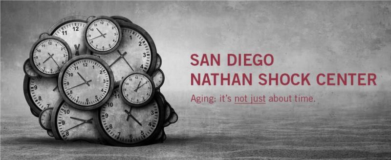Sanford Burnham Prebys (@sbpdiscovery) on Twitter photo The San Diego Nathan Shock Center is accepting applications for its Pilot Grant program. Scientists studying the biology of aging can receive up to $20,000 for services, supplies, training and travel to San Diego. Applications due 08/22. bit.ly/3B5VVjU
<a href="/NathanShockCtrs/">Nathan Shock Centers</a> The San Diego Nathan Shock Center is accepting applications for its Pilot Grant program. Scientists studying the biology of aging can receive up to $20,000 for services, supplies, training and travel to San Diego. Applications due 08/22. bit.ly/3B5VVjU
<a href="/NathanShockCtrs/">Nathan Shock Centers</a>