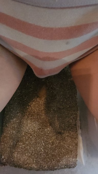 Embarrassing video of me pissing myself in my litterbox on OF and Nyansly https://t.co/U96dmFL5Eu
