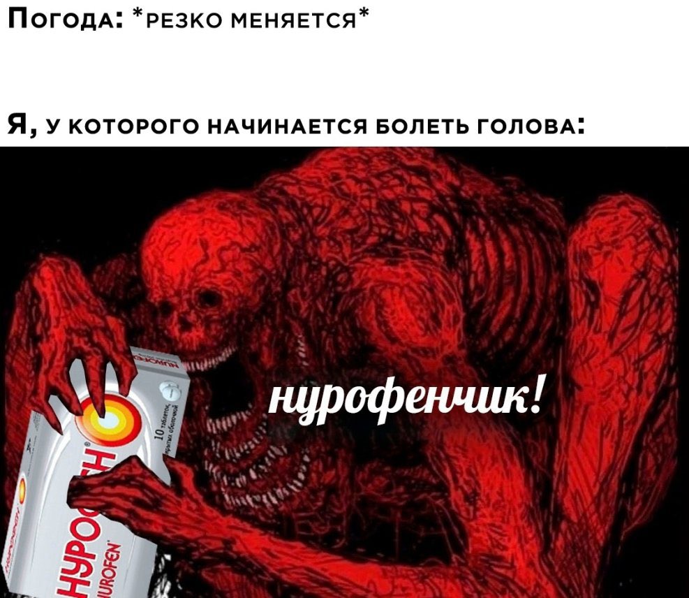 KateVerbitskay's tweet image. 