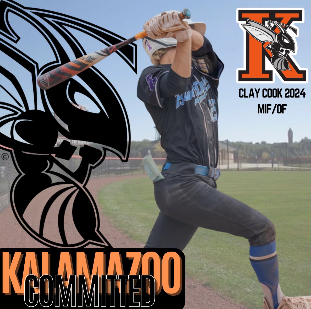 Roll Hornets 🐝 #Committed