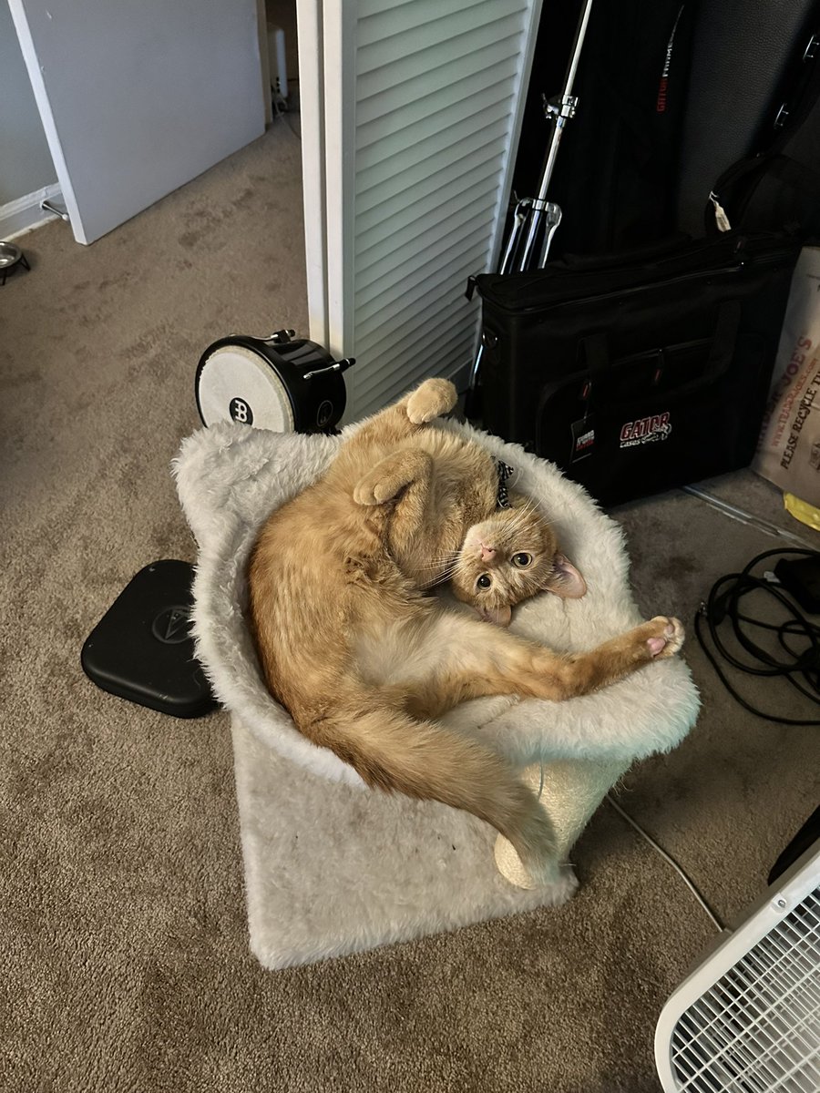 chris “hotdog” topher tweet media