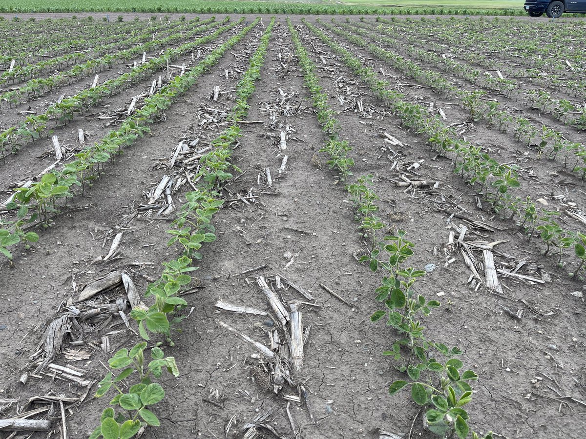 Blase Hendrickson tweet media