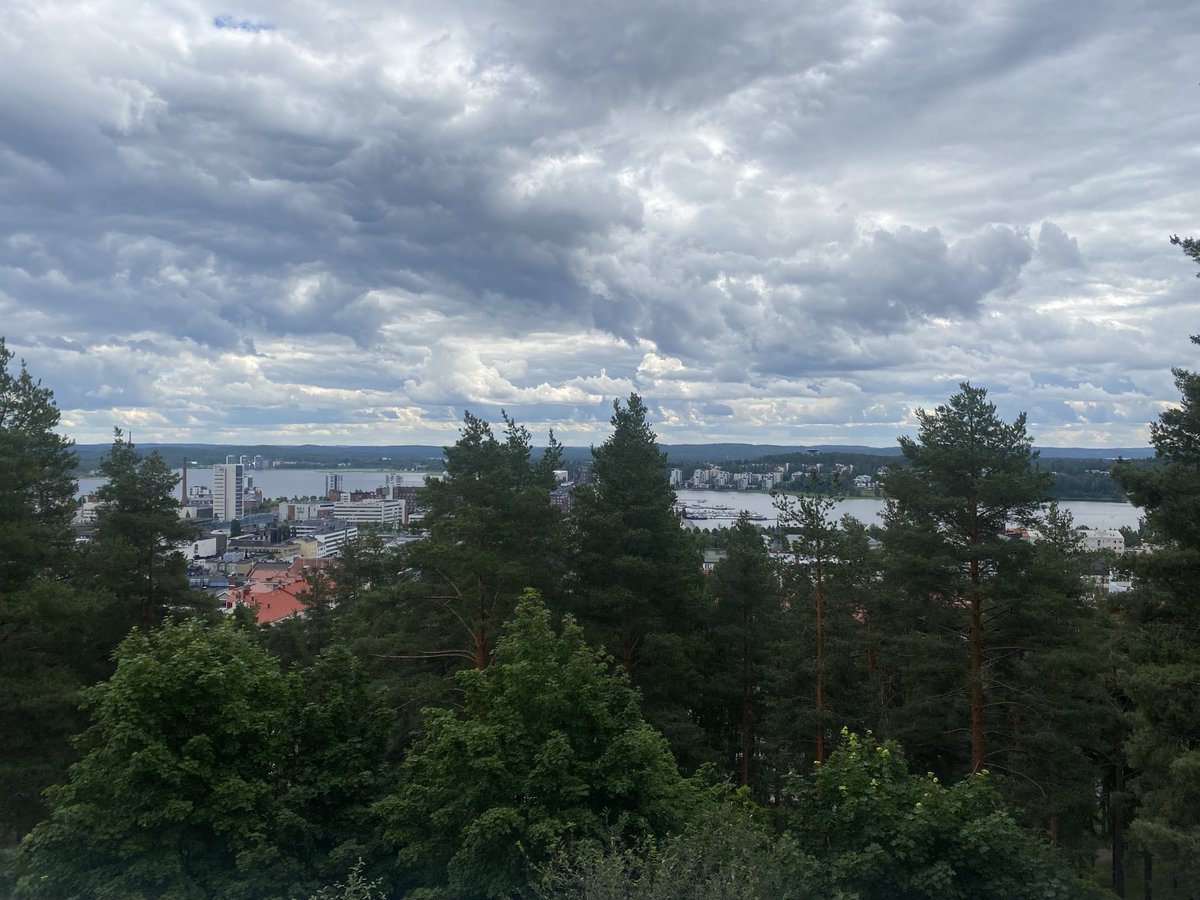 Soili Kangaskorpi tweet media