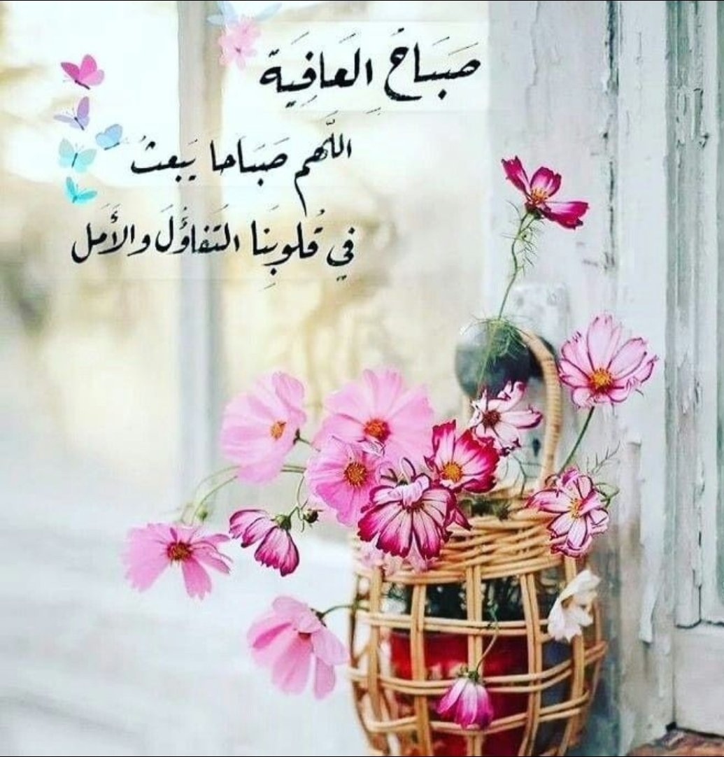 mahmouedashour6@gmail.com (@mahmouedashour6) on Twitter photo 
