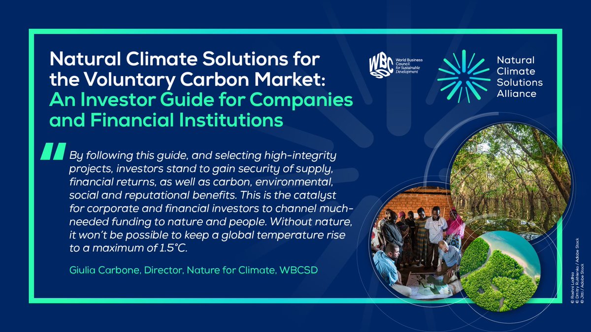 Unlock the potential of Nature-based solutions and secure sustainable returns and sustainability benefits! The new investor guide from WBCSD explores how to evaluate and invest in high-integrity Natural Climate Solutions. wbcsd.org/wp-content/upl…