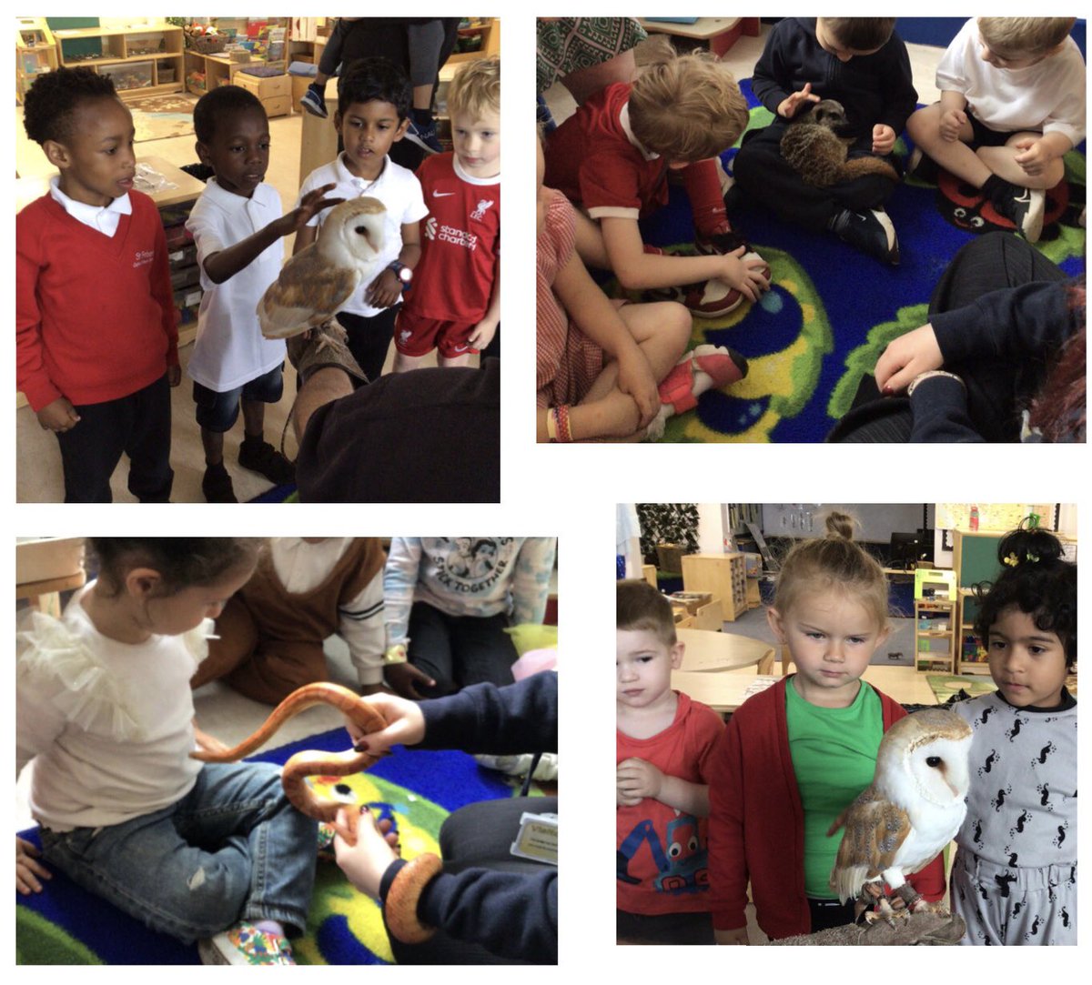 St Finbar's EYFS tweet media