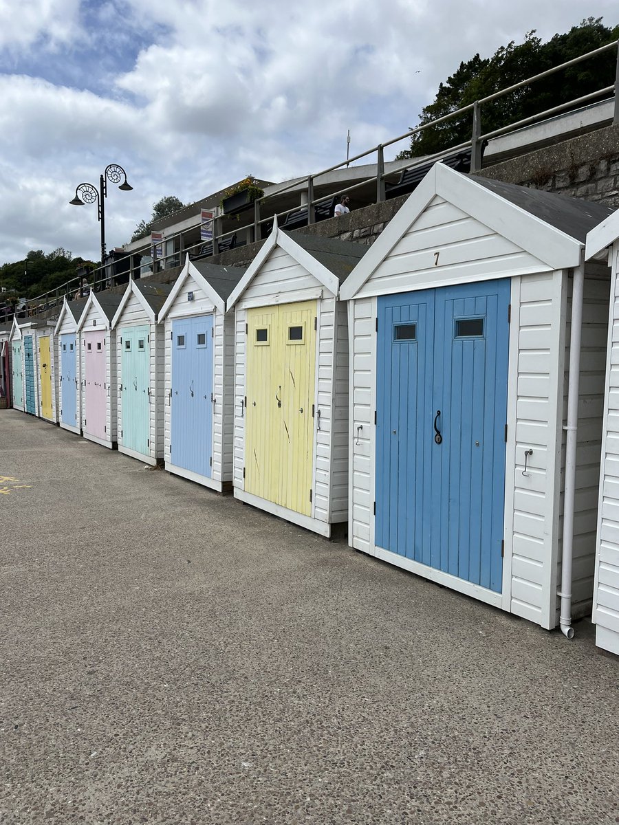 Miss Harris WCSA tweet media