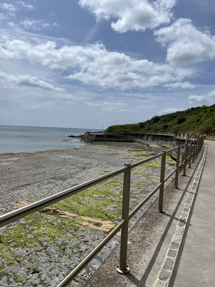 Miss Harris WCSA tweet media