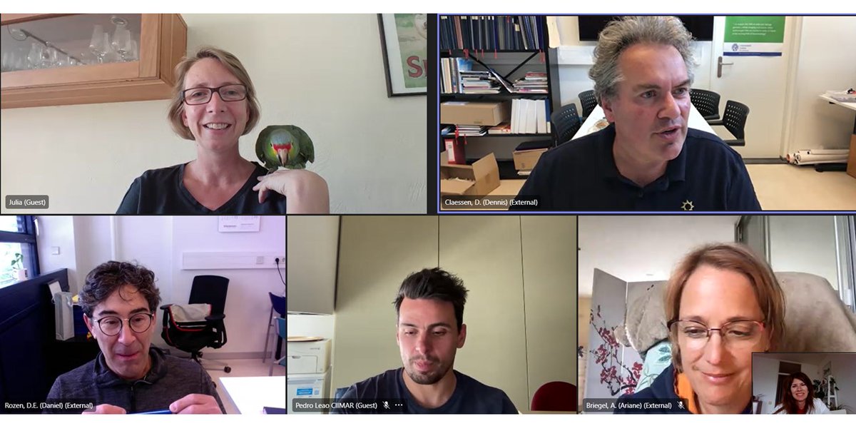 Anna Dragos (@anna_dragos) on Twitter photo Always fun to discuss with collaborators on Monday afternoon: Dennis Classen, <a href="/derozenleiden/">daniel rozen</a>, <a href="/HelenaShomar/">Helena Shomar</a>, <a href="/pnleao/">Pedro Leão</a>, <a href="/BriegelAriane/">Ariane Briegel</a> and...two members from <a href="/FrunzkeLab/">FrunzkeLab</a>🦜🙃 Always fun to discuss with collaborators on Monday afternoon: Dennis Classen, <a href="/derozenleiden/">daniel rozen</a>, <a href="/HelenaShomar/">Helena Shomar</a>, <a href="/pnleao/">Pedro Leão</a>, <a href="/BriegelAriane/">Ariane Briegel</a> and...two members from <a href="/FrunzkeLab/">FrunzkeLab</a>🦜🙃