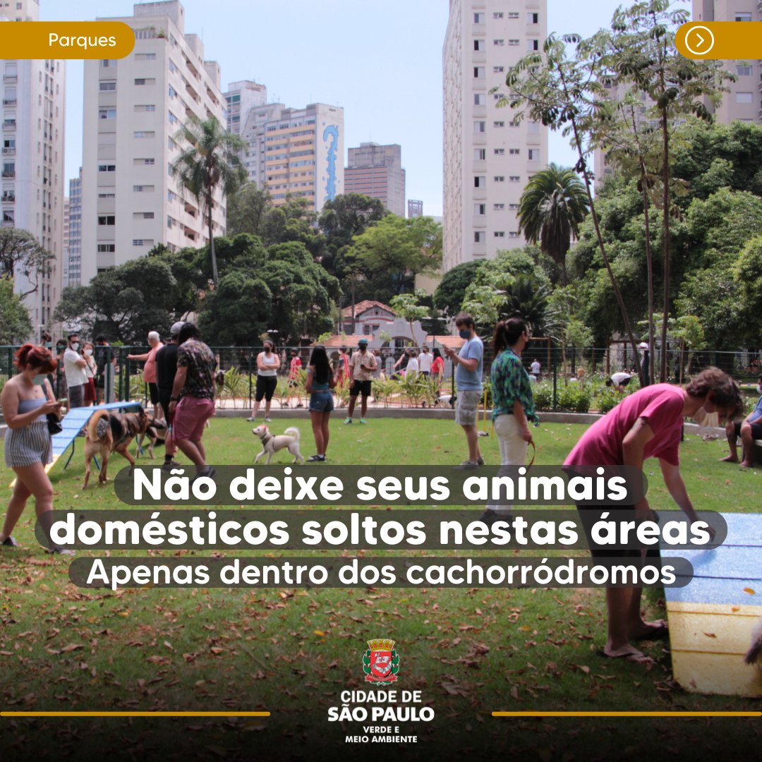 Secretaria do Verde e do Meio Ambiente tweet media