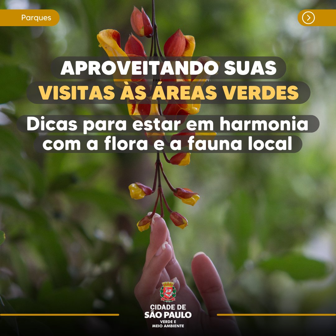 Secretaria do Verde e do Meio Ambiente tweet media