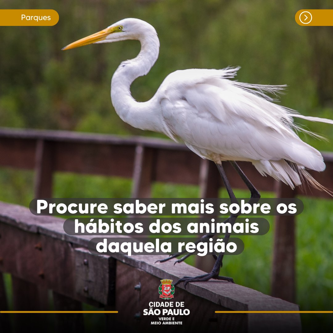 Secretaria do Verde e do Meio Ambiente tweet media