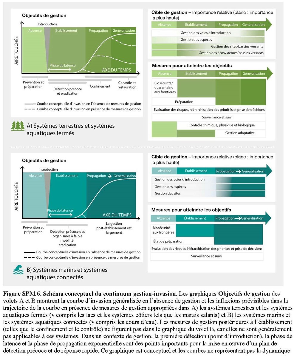 ipbesfr's tweet photo. 📉Les #EspècesExotiquesEnvahissantes menacent la #biodiversité mondiale!

💡Apprenez-en plus sur la gestion de leur propagation dans les systèmes terrestres, d'eaux fermées, milieux marins &amp; réseaux d'eaux connectées.

📕Rapport de l'@IPBES : https://t.co/IDRobX3c5r (FR) https://t.co/5hhq98CrUO