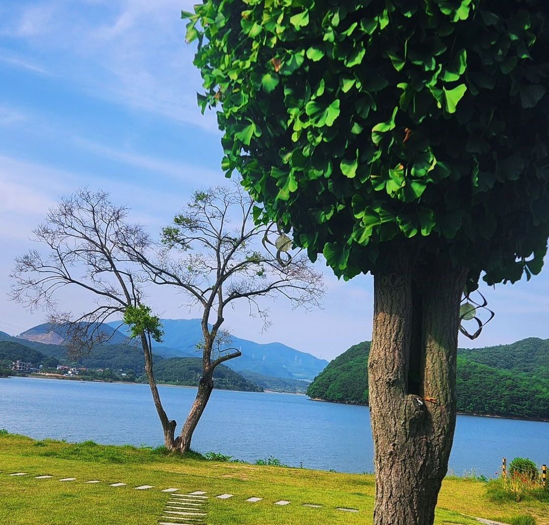 보령 청천저수지 둘레길..