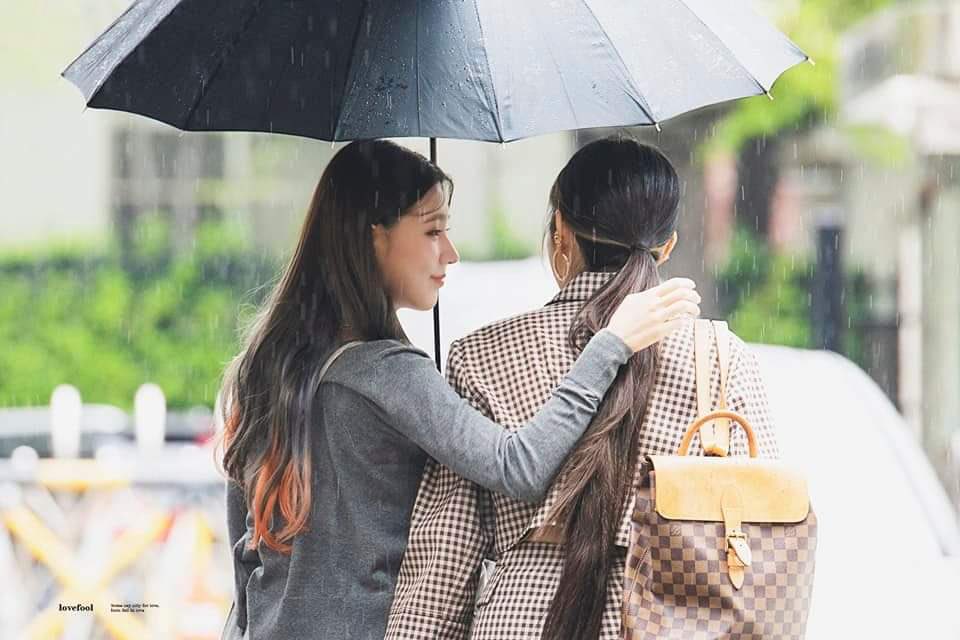 MY_lover tweet media