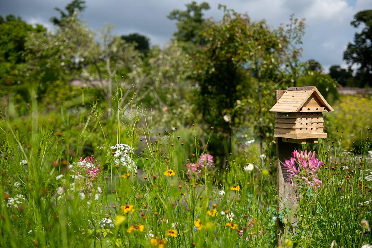 Goodnestone Park (@goodnestonepark) on Twitter photo Wildlife gardening advice and fun activities for children on Sunday 7th July with the Wild About Gardens Team from <a href="/KentWildlife/">Kent Wildlife Trust</a>
kentwildlifetrust.org.uk/events/2024-07… Wildlife gardening advice and fun activities for children on Sunday 7th July with the Wild About Gardens Team from <a href="/KentWildlife/">Kent Wildlife Trust</a>
kentwildlifetrust.org.uk/events/2024-07…