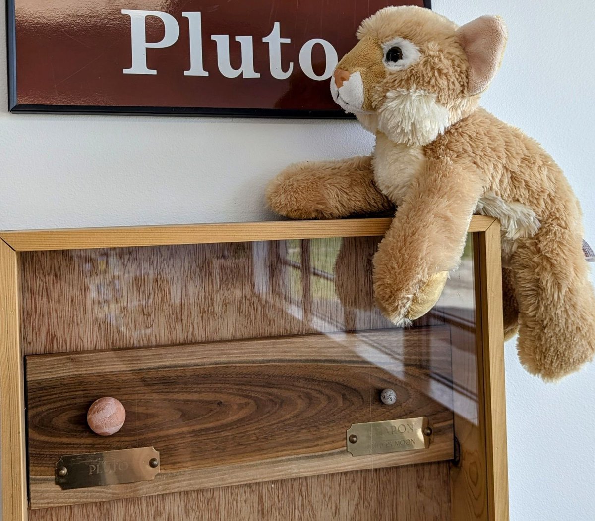 Colson Elementary tweet media