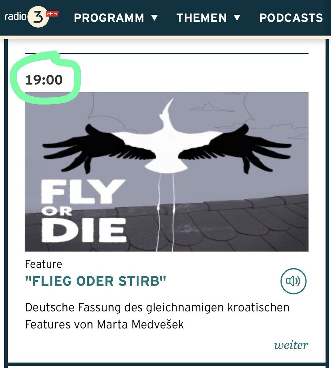 The German version of my Prix Europa winning radio feature Fly or Die is live today on rbb radio3. 📻🎉

Also available in the programme library.